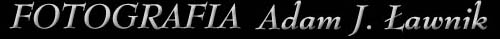 Fotografia - Adam Ławnik